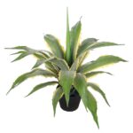 Variegated Artificial Agave Plant