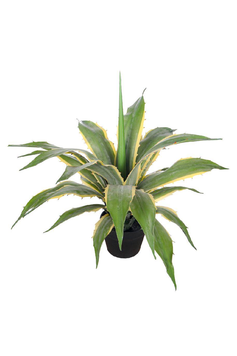 Agave_Varigated_Artificial-Plantshop_me.jpg Variegated Artificial Agave Plant - Image 1