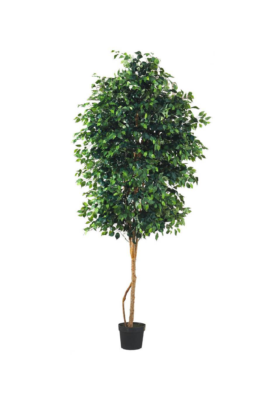 Ficus_Benjamina_Artificial_3_Meter-Plantshop_me.jpg 3 m Artificial Ficus Benjamina Tree - Image 1