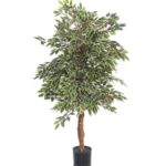 Variegated Ficus Benjamina Starlight Artificial Plant