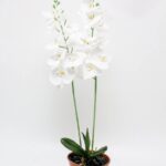 Two-Stem Artificial Phalaenopsis Orchid