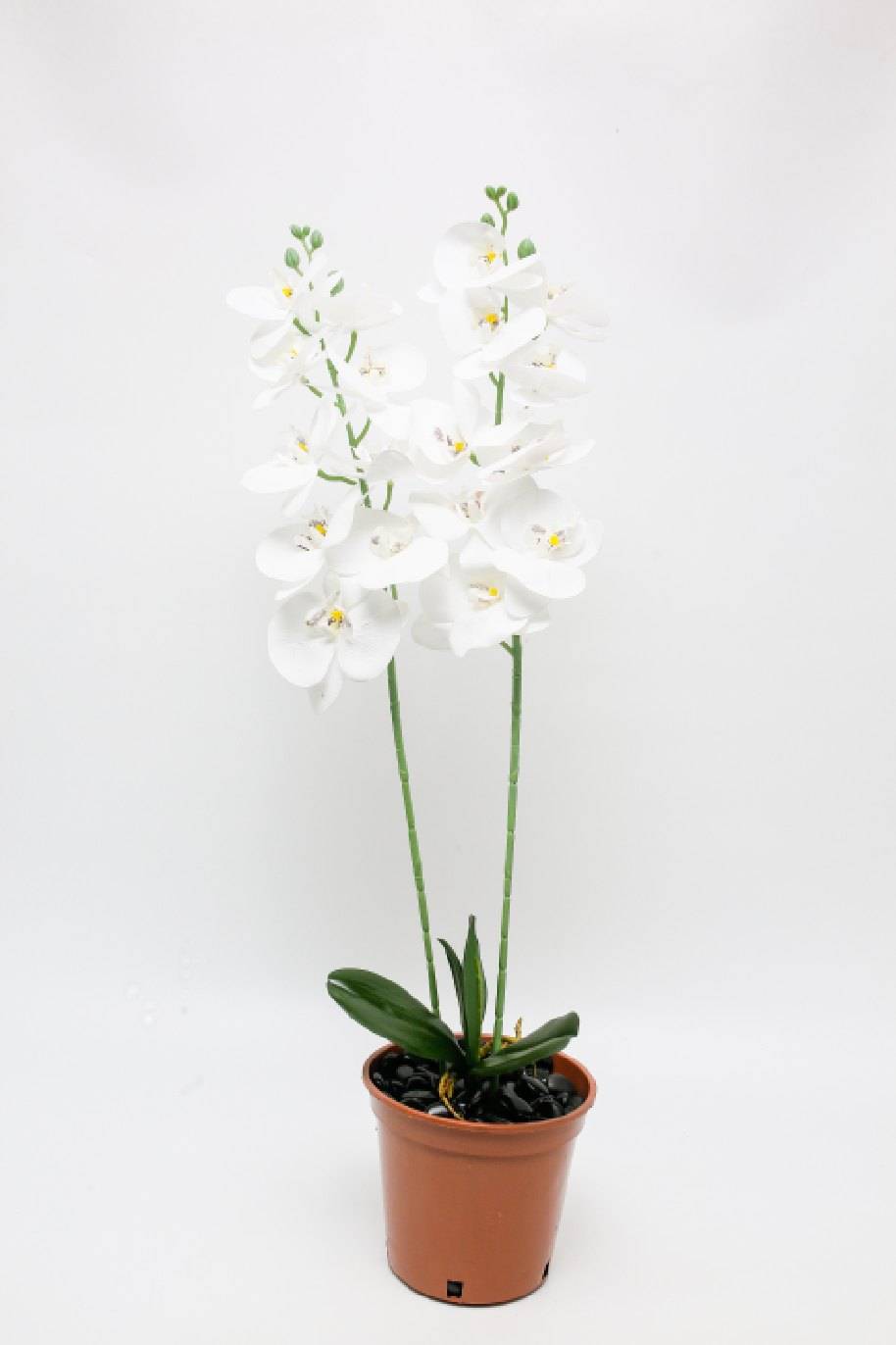 Phalaenopsis_Orchid_Artificial_2_Stem-Plantshop_me.jpg Two-Stem Artificial Phalaenopsis Orchid - Image 1