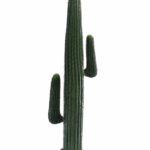 Sculptural Saguaro Artificial Cactus
