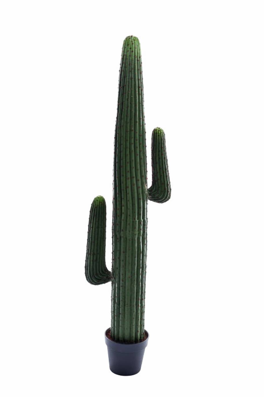 Saguaro_Cactus_Artificial-Plantshop_me1.jpg Sculptural Saguaro Artificial Cactus - Image 1