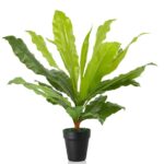 Bird’s Nest Fern Artificial Plant