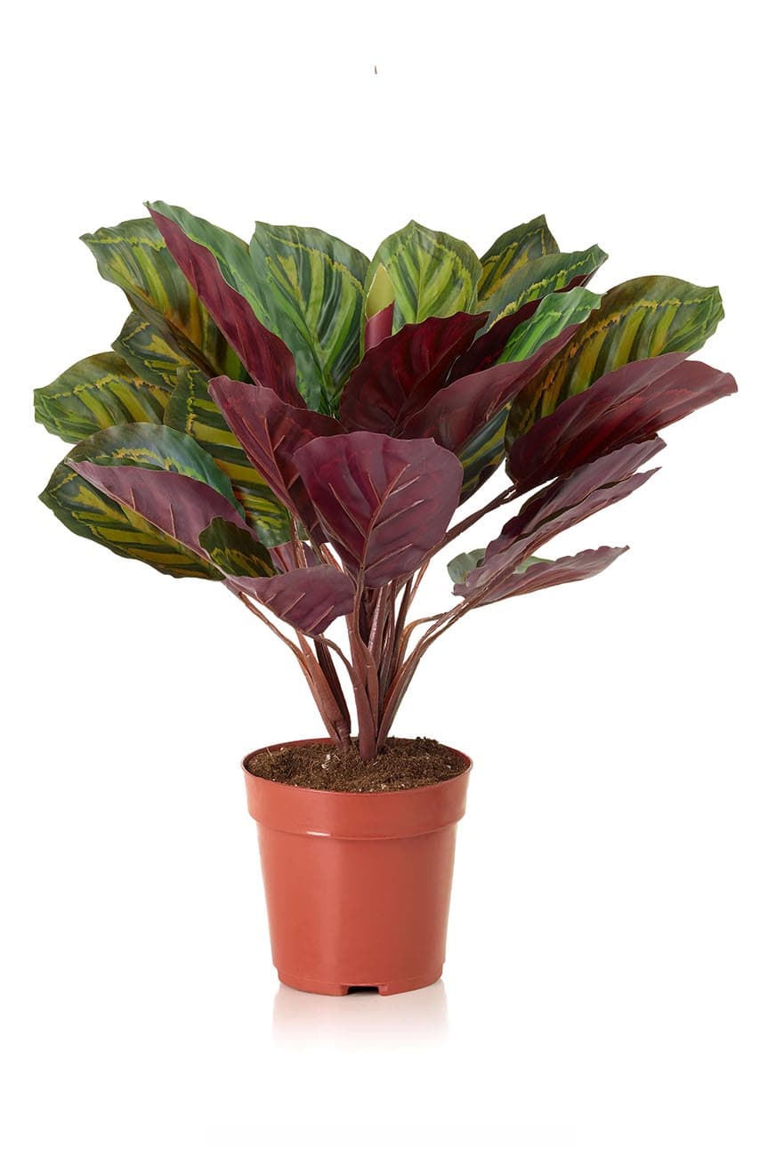 art_calathea_red-2.jpg Red Calathea Artificial Plant - Image 1