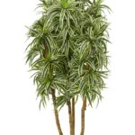 Branched Song of India Artificial Dracaena
