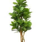 Multi-Stem Artificial Fiddle Leaf Fig Tree