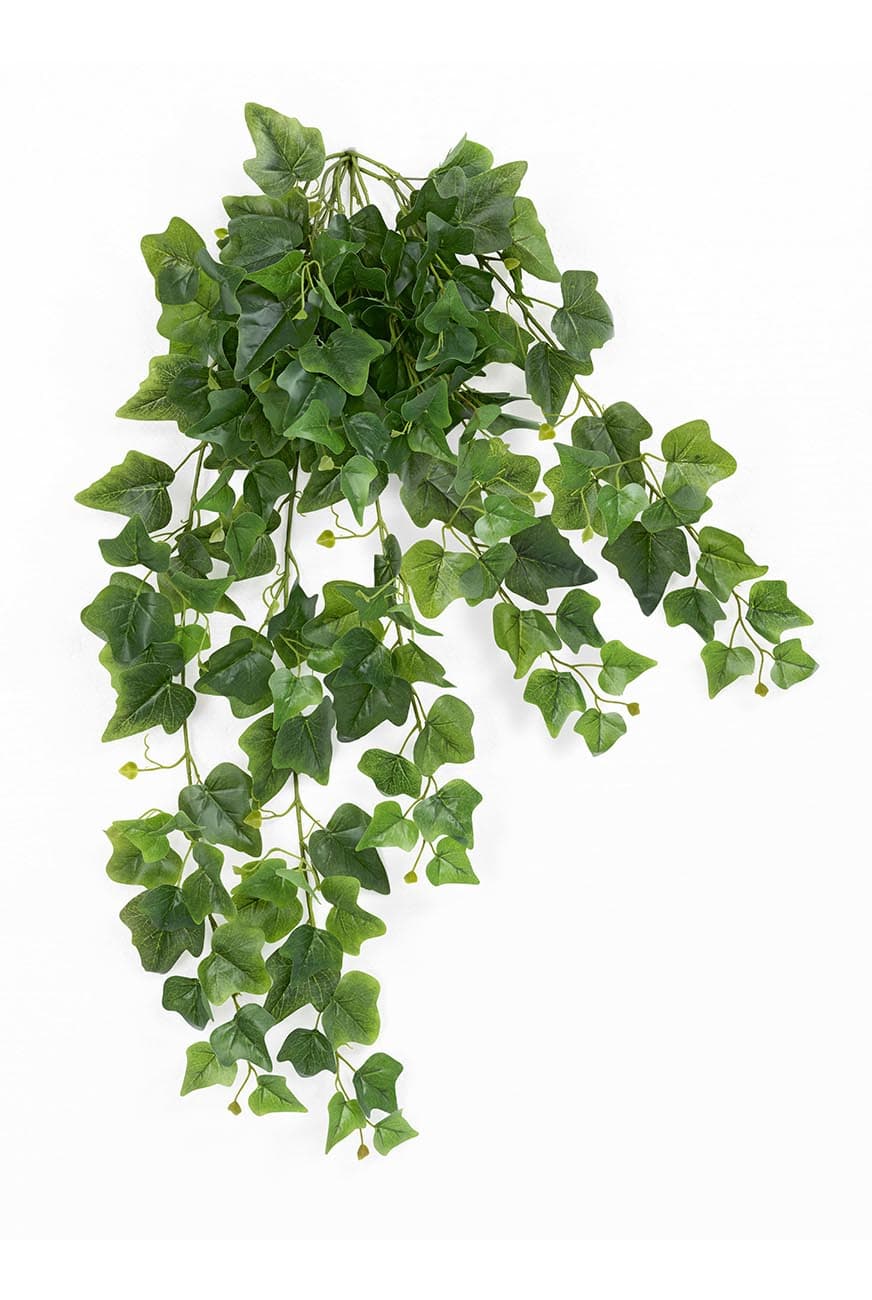 art_hedera_green_trailing_80h-2.jpg Green Trailing Ivy Artificial Plant - Image 1