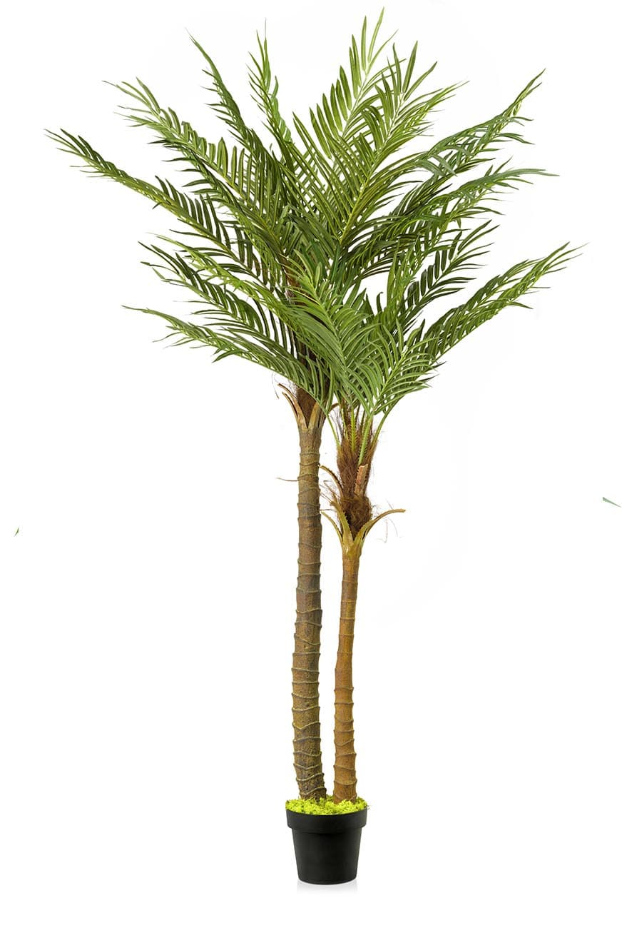 art_phoenix_roubilinii_-2pp_-180-.jpg Double-Stem Artificial Phoenix Palm - Image 1