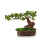 Artificial Podocarpus Bonsai